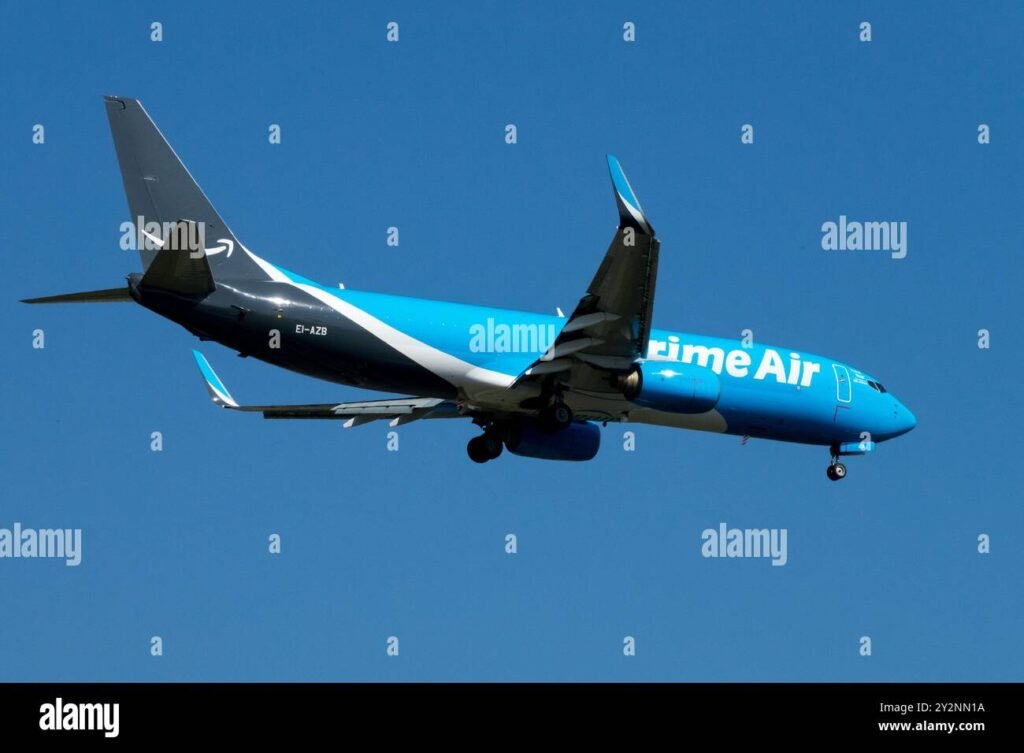 Quali sono i migliori sconti per voli durante il Black Friday 1 aereo in volo sopra un cielo blu