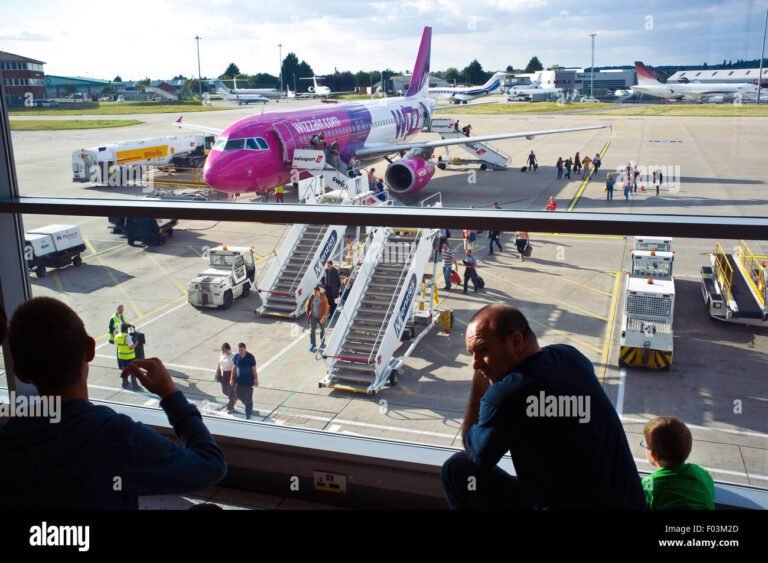Dove posso trovare voli Wizz Air da Catania a Milano 28 aeroporto con aerei wizz air in attesa