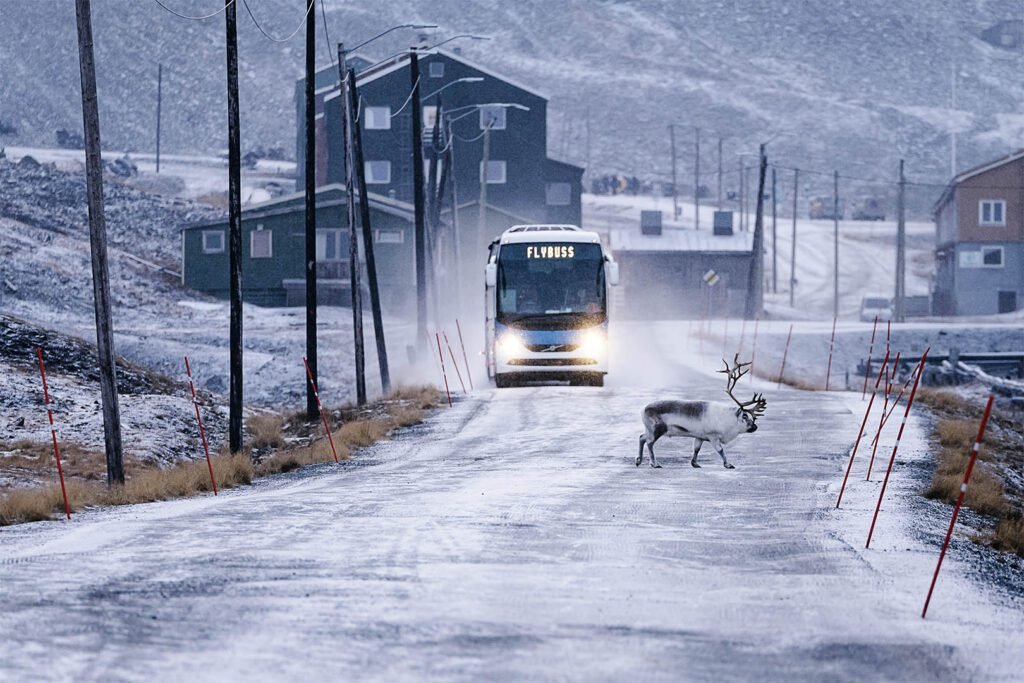 Come posso raggiungere Forio da Ischia Porto in autobus 4 Come posso raggiungere Forio da Ischia Porto in autobus