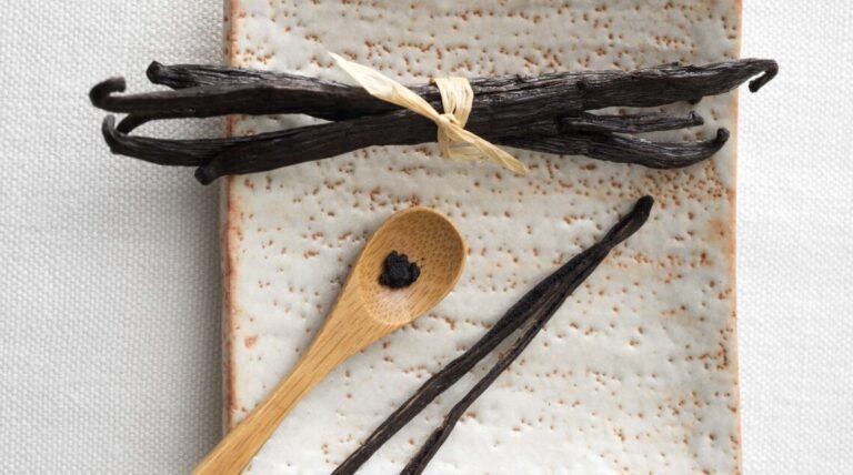 bacca di vaniglia bourbon su sfondo naturale