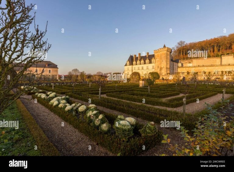 casa rosa circondata da campi di cavoli