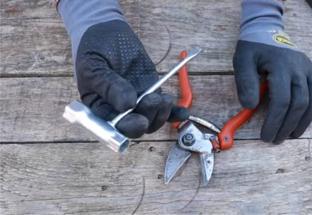Come si affilano correttamente le forbici da potatura in pochi passi 8 Come si affilano correttamente le forbici da potatura in pochi passi
