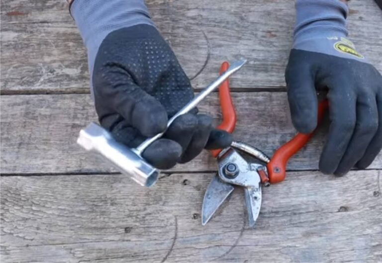 forbici da potatura su un tavolo di legno