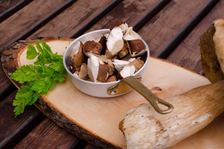 funghi porcini freschi su un tagliere 2