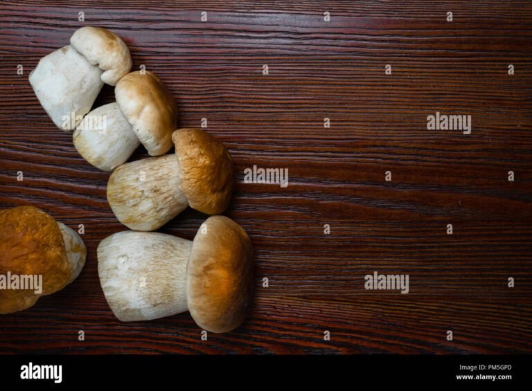 funghi porcini freschi su un tavolo rustico