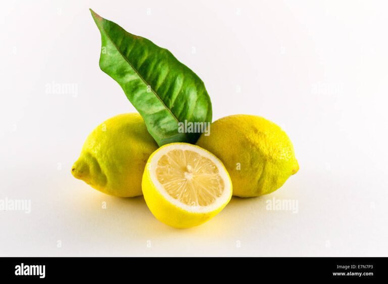 limoni freschi su sfondo verde naturale