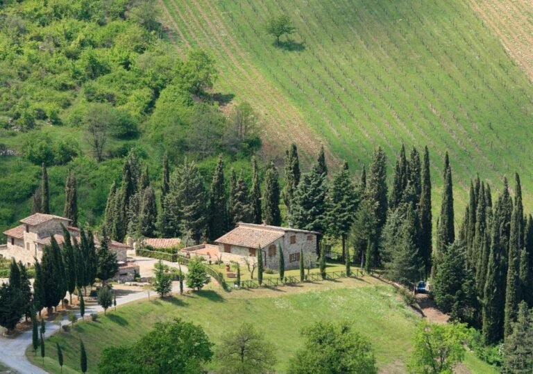 paesaggio rurale con agriturismo e natura