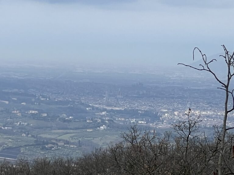 Cosa vedere a San Donato in Collina, Firenze, durante una visita 2 panorama collinare di san donato