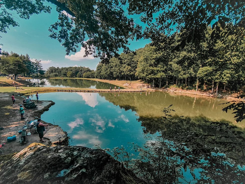 Dove si trova Ca' di Gianni a Bagno di Romagna e cosa offre 7 Dove si trova Ca’ di Gianni a Bagno di Romagna e cosa offre