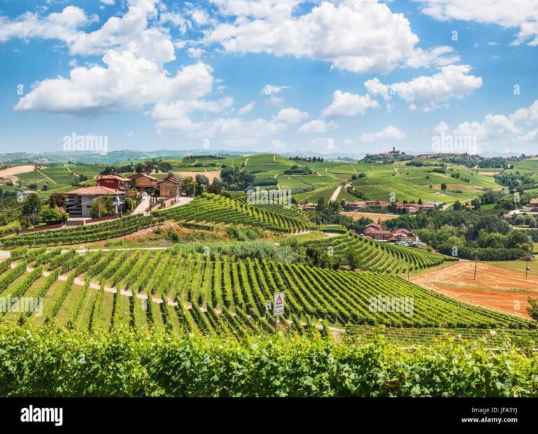 panorama di colline e vigneti piemontesi