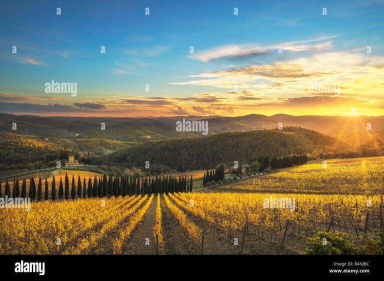 panorama di radda in chianti al tramonto