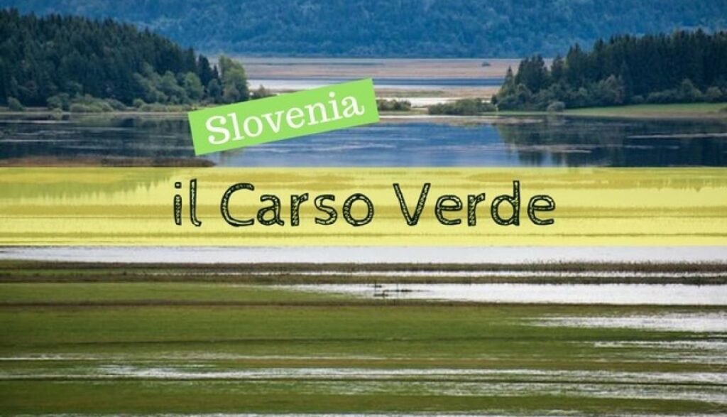 Cosa sapere sulla Bajta e la Fattoria Carsica in Slovenia 4 Cosa sapere sulla Bajta e la Fattoria Carsica in Slovenia