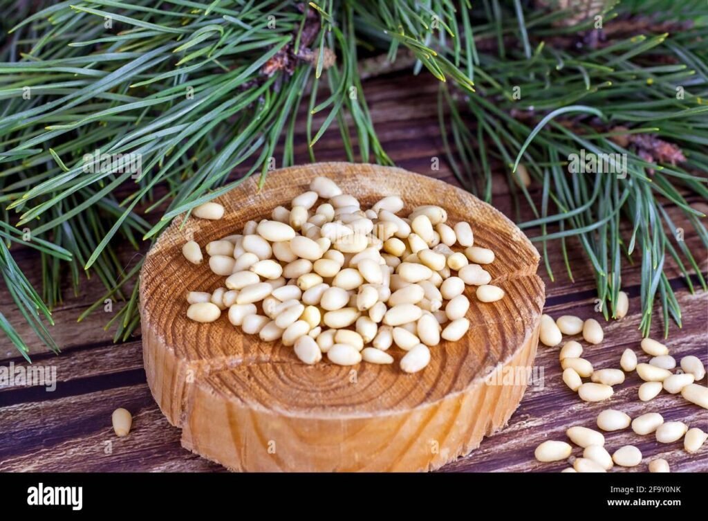 Quanto costano attualmente i pinoli al chilo in Italia 4 Quanto costano attualmente i pinoli al chilo in Italia