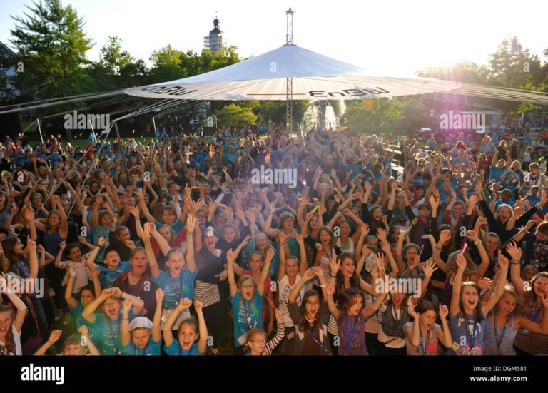 pubblico entusiasta a un concerto allaperto