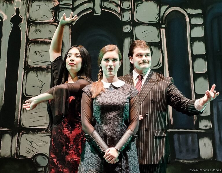 Quali sono le curiosità sul musical de La Famiglia Addams 23 rappresentazione artistica della famiglia addams