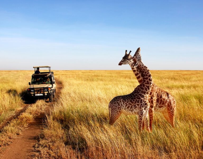 safari in tanzania con paesaggi naturali
