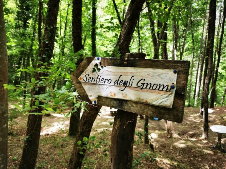 Quali sono le principali attrazioni del Bosco di Ca' Shin 34 sentiero immerso nel verde del bosco