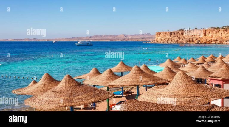 Qual è il clima a Sharm El Sheikh durante il Capodanno 35 spiaggia soleggiata con palme a sharm