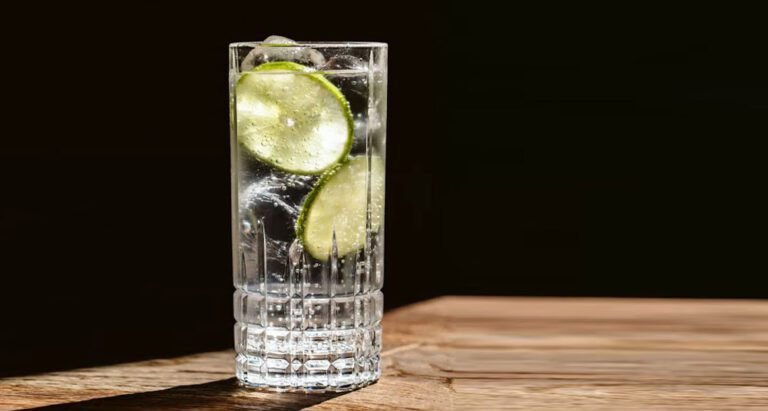 un bicchiere di gin tonic perfetto