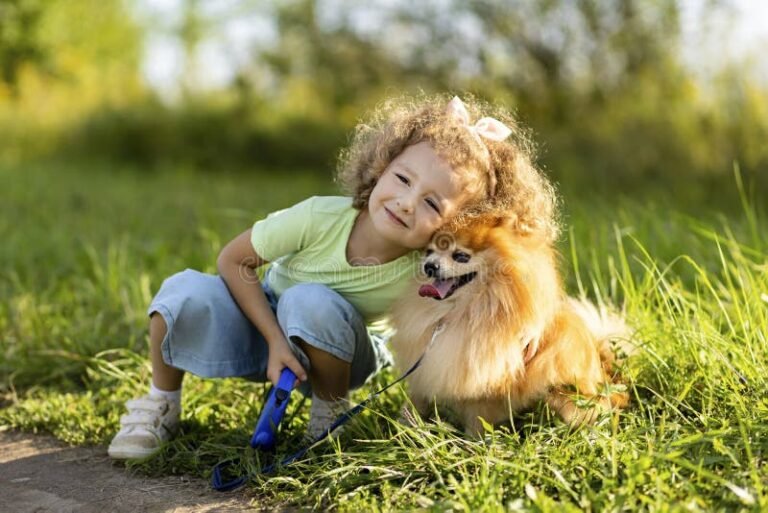 un cane felice che gioca allaperto