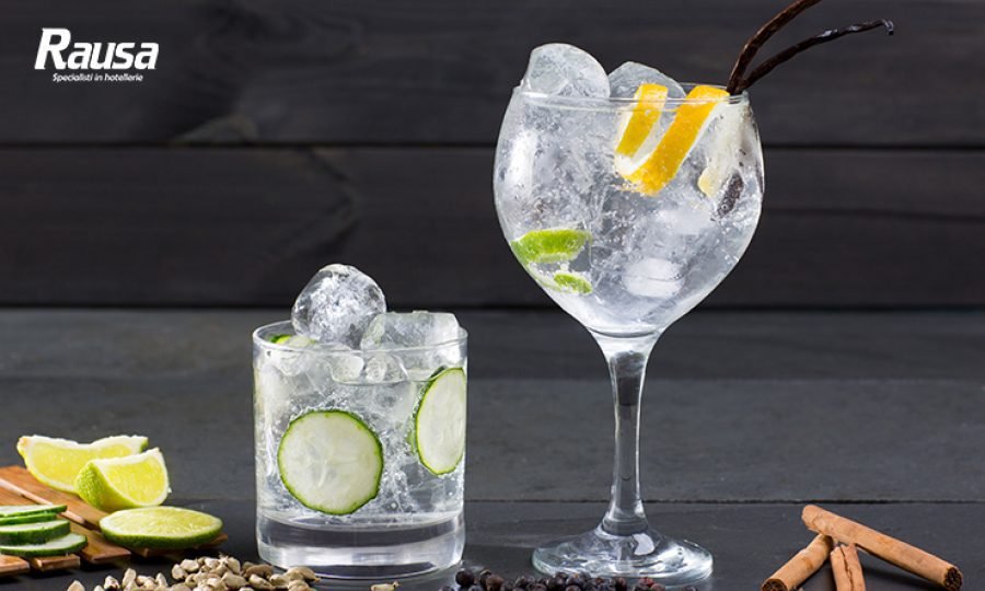 un misurino con gin e tonica