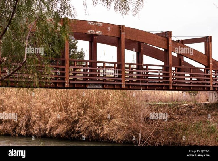 un ponte che collega due sponde