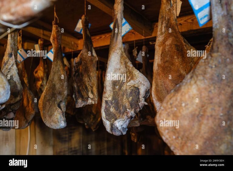 Quali sono le caratteristiche e la storia del prosciutto crudo Sant'Ilario 26 un prosciutto crudo appeso in cantina