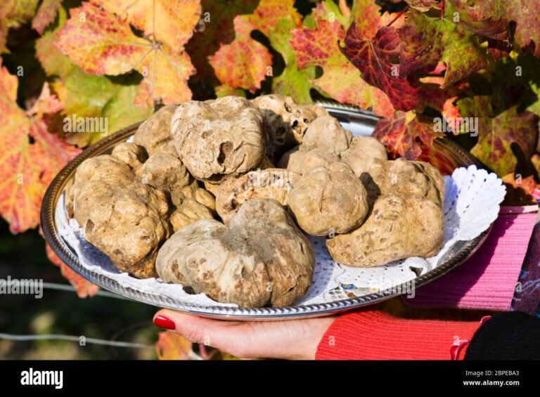 un tartufo bianco su un tavolo rustico