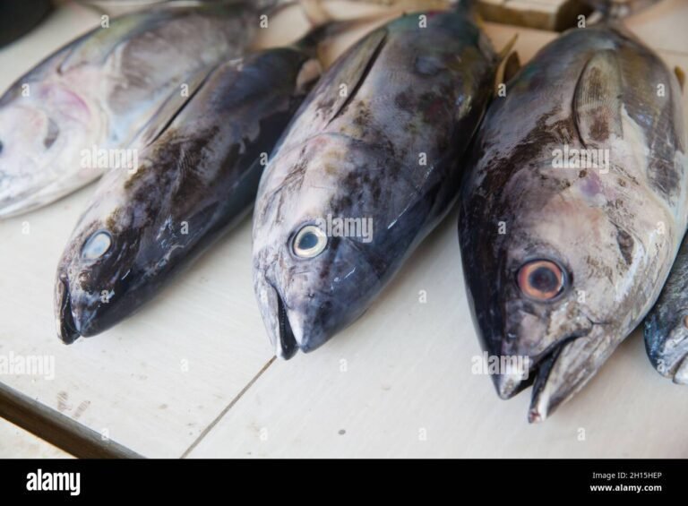 un tonno fresco su un banco di pesce