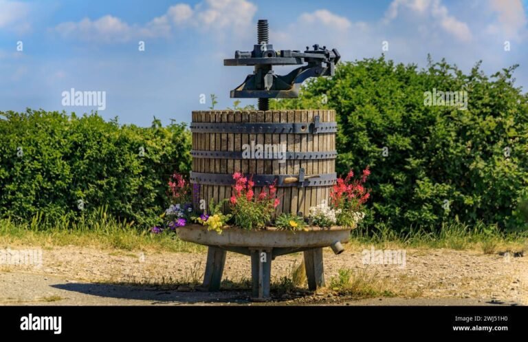 un torchio tradizionale in un vigneto