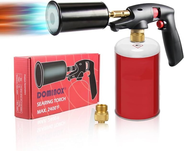 Che cos'è e come si usa la fiamma ossidrica da cucina 7 una fiamma ossidrica accesa in cucina