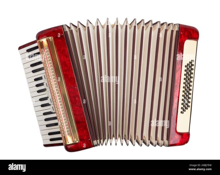 una fisarmonica su uno sfondo neutro