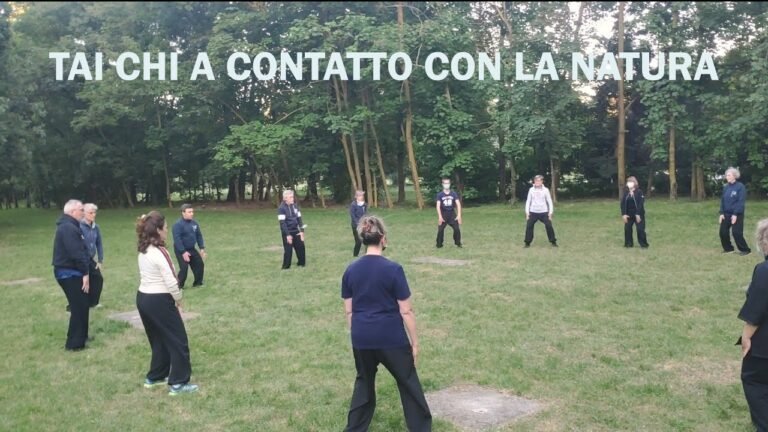 una lezione di tai chi in un parco