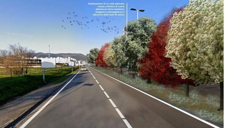 una strada alberata in un contesto urbano