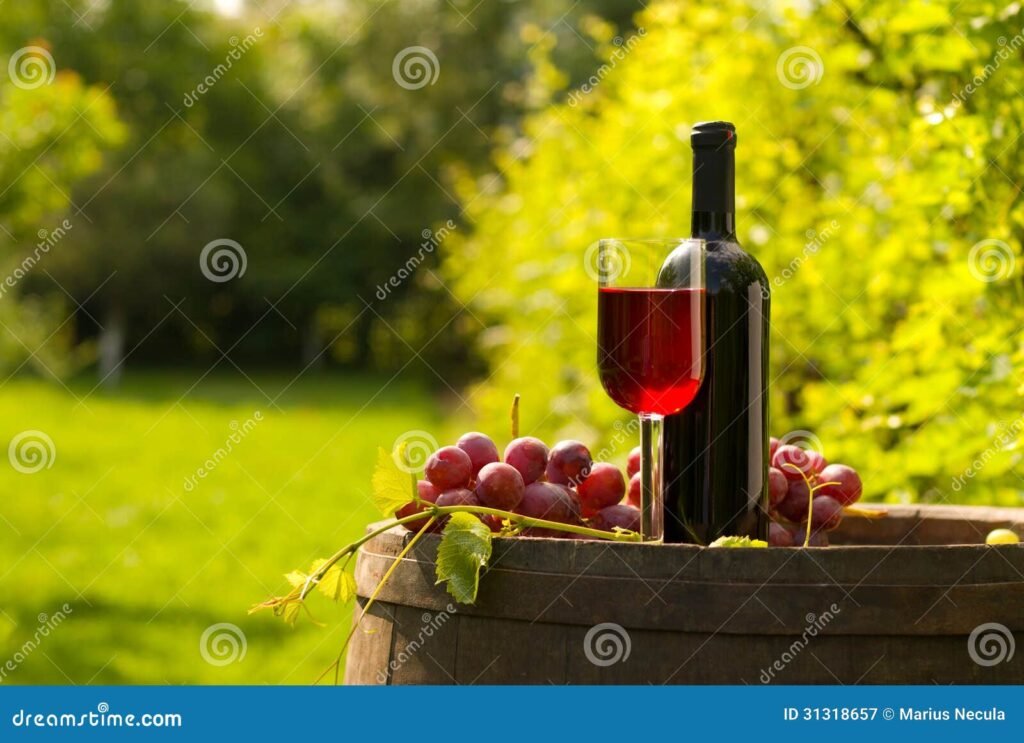 Quali sono i migliori vini tipici di Bologna e della sua regione 8 Quali sono i migliori vini tipici di Bologna e della sua regione