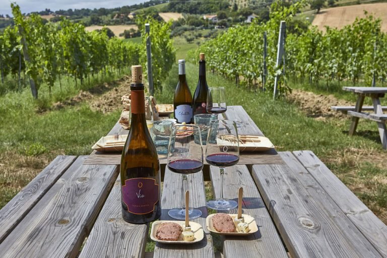 vigna panoramica con tavoli da pic nic