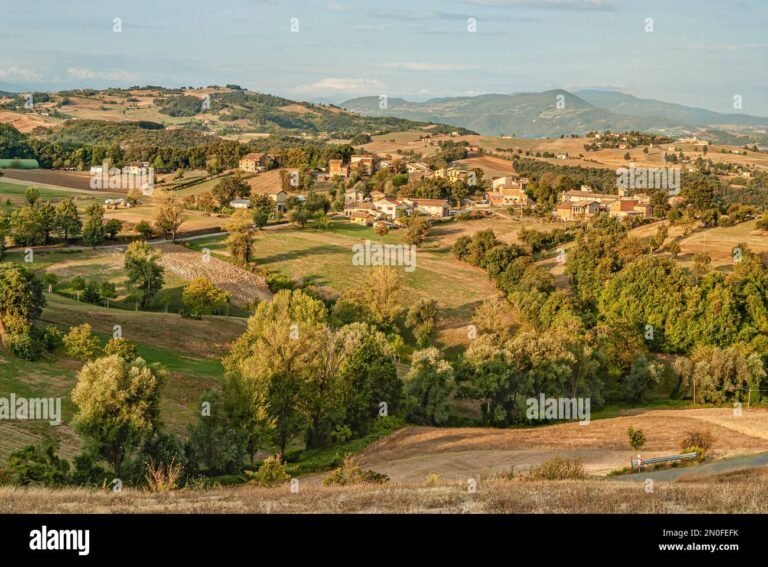 vigneti lussureggianti di savignano sul panaro