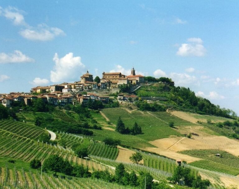 vista panoramica dei vigneti di la morra