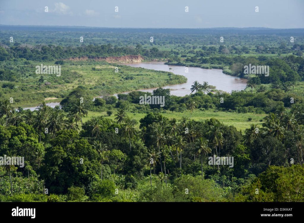 Quali sono le migliori sistemazioni nel Parco Nazionale di Tsavo